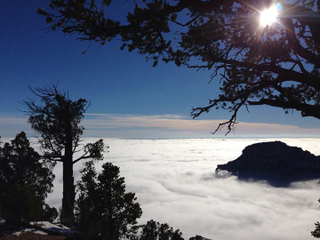 Illustration for article titled Grand Canyon completely flooded by clouds in "once-in-a-lifetime" event